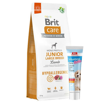 Brit Care Junior Large Kuzu Yavru Büyük Irk Köpek Maması 12 Kg + Vitalidog Junior Paste + Temizlik Mendili