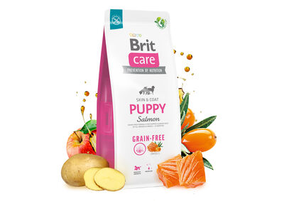 Brit Care Puppy Salmon and Potato Grain Free Puppy Dry Dog Food 12 Kg.