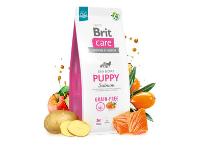 Brit Care Puppy Somonlu Yavru Tahılsız Köpek Maması 3 Kg + Temizlik Mendili