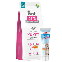 Brit Care - Brit Care Puppy Somonlu Yavru Tahılsız Köpek Maması 12 Kg + Vitalidog Junior Paste + Temizlik Mendili
