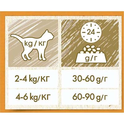 Cat Chow Somon ve Ton Balıklı Kedi Maması 15 Kg 