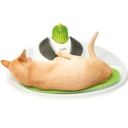 Catit - Catit Senses 2.0 Wellness Center Dinlenme Oyun Merkezi