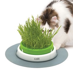 Catit - Catit 43161 Senses 2.0 Grass Planter Kedi Çimi Oyun Merkezi