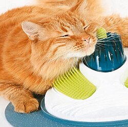 Catit Senses Catnip Kedi Masaj Merkezi (Kedi Otlu) - 2