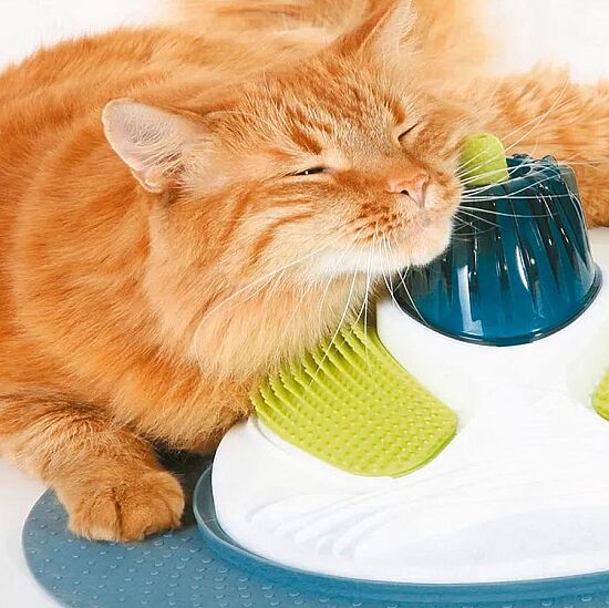 Catit Senses Catnip Kedi Masaj Merkezi (Kedi Otlu) - 2