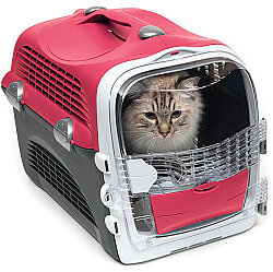 Catit Cabrio Kedi ve Küçük Irk Köpek Taşıma Çantası Kırmızı / Gri - Catit
