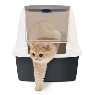 Catit Magic Blue Filtresiz Jumbo Kedi Tuvaleti 57 x 46,5 x 50 Cm ( Gri - Beyaz )