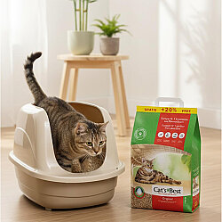 Cats Best Original Naturel Kedi Kumu 10 + 2 Lt (Toplam 12 Lt) - 5