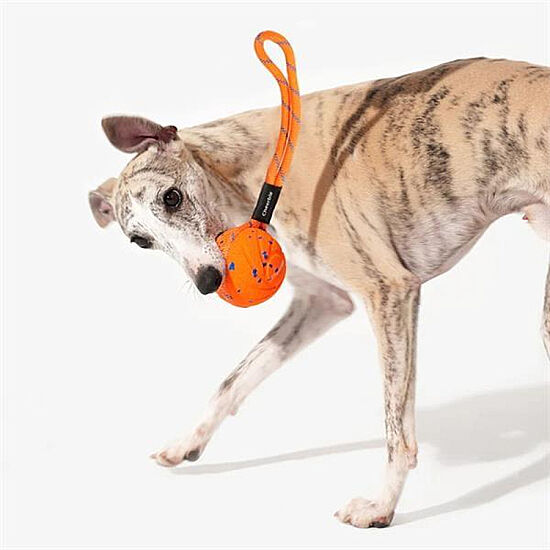 Cheerble Akıllı İnteraktif Köpek Oyuncağı İpli - Turuncu 7 Cm - 2