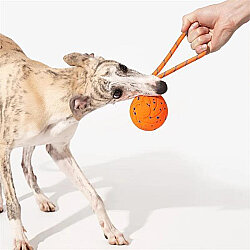Cheerble Akıllı İnteraktif Köpek Oyuncağı İpli - Turuncu 7 Cm - 3
