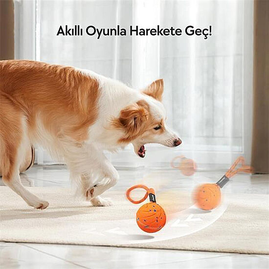 Cheerble Akıllı İnteraktif Köpek Oyuncağı İpli - Turuncu 7 Cm - 4