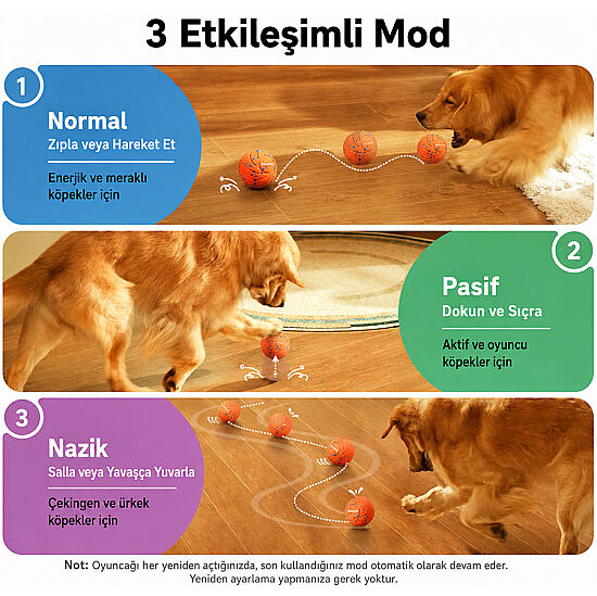 Cheerble Akıllı İnteraktif Köpek Oyuncağı - Turuncu 7 Cm - 8