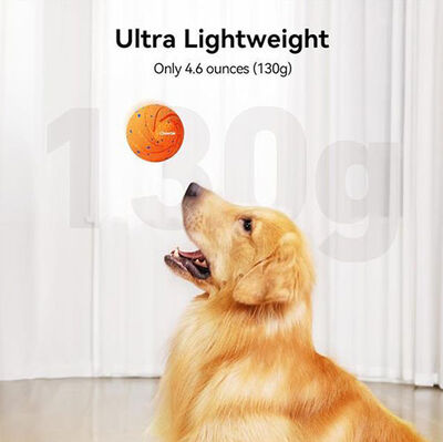 Cheerble Akıllı İnteraktif Köpek Oyuncağı - Turuncu 7 Cm Cheerble Akıllı İnteraktif Köpek Oyuncağı - Turuncu 7 Cm