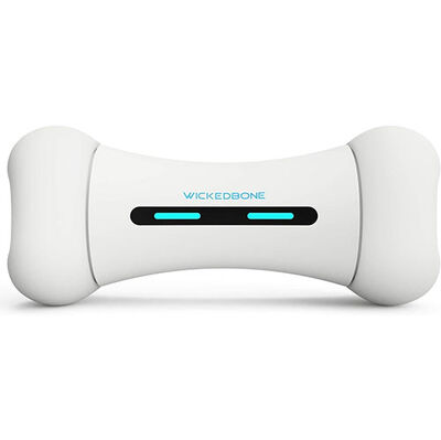 Cheerble Akıllı Kemik Güvenli ve Dayanıklı Otomatik İnteraktif Oyuncak 20 x 10 x 8 Cm