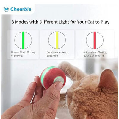 Cheerble Şarjlı Akıllı İneraktif Kedi Oyun Topu - Kırmızı 4 Cm Cheerble Şarjlı Akıllı İneraktif Kedi Oyun Topu - Kırmızı 4 Cm