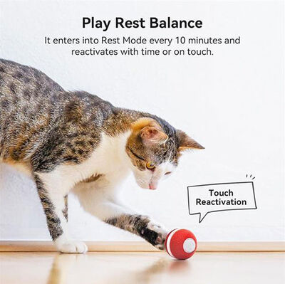 Cheerble Şarjlı Akıllı İneraktif Kedi Oyun Topu - Kırmızı 4 Cm Cheerble Şarjlı Akıllı İneraktif Kedi Oyun Topu - Kırmızı 4 Cm