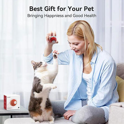 Cheerble Şarjlı Akıllı İneraktif Kedi Oyun Topu - Kırmızı 4 Cm Cheerble Şarjlı Akıllı İneraktif Kedi Oyun Topu - Kırmızı 4 Cm