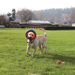 Chuckit Fetch Wheel Tekerlek Şekilli Köpek Oyuncağı Large - Thumbnail