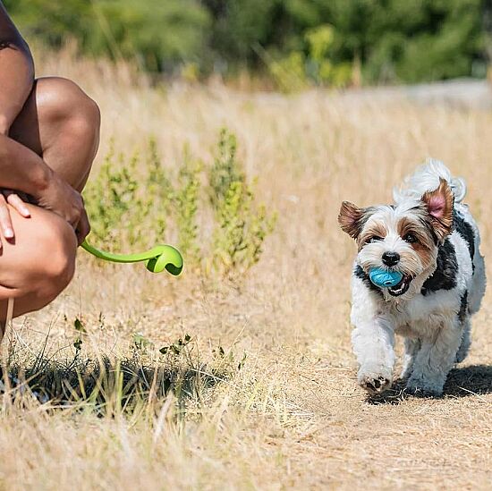 Chuckit The Whistler 2'li Köpek Oyun Topu (Küçük Boy) - 6
