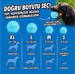 Chuckit Rebounce Ball 2 li Doğa Dostu Köpek Oyun Topu (Orta Boy) - 4