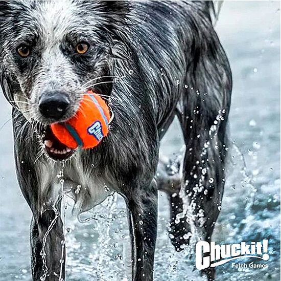 Chuckit 2 li Köpek Tenis Oyun Topu (Ekstra Büyük Boy) - 3
