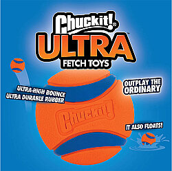 Chuckit Ultra Ball Köpek Oyun Topu ( Orta Boy ) - 4