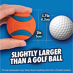 Chuckit Ultra Ball 2'li Köpek Oyun Topu ( Küçük Boy ) - 6