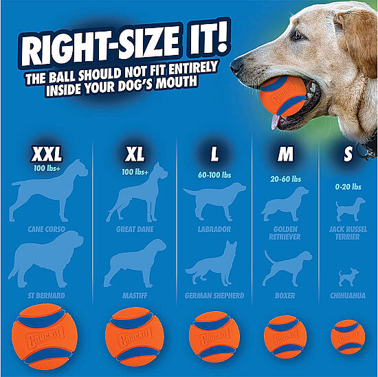 Chuckit Ultra Ball Köpek Oyun Topu (Büyük Boy) - 5
