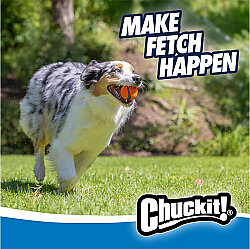 Chuckit Ultra Ball Köpek Oyun Topu (XXL Boy) - 8