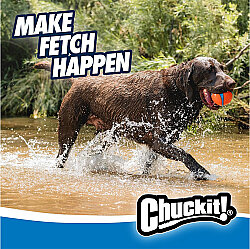 Chuckit Ultra Ball Köpek Oyun Topu (XXL Boy) - 11