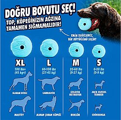 Chuckit Fetch Ball Köpek Oyun Topu (Orta Boy) - 4