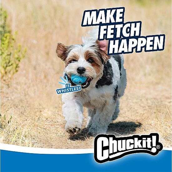 Chuckit Fetch Ball Köpek Oyun Topu (Orta Boy) - 6