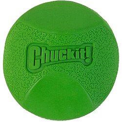 Chuckit Erratic Ball Köpek Oyun Topu (Büyük Boy) - 2