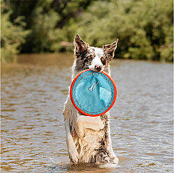 Chuckit Paraflight Kumaş Frizbee Köpek Oyuncağı Large - 4