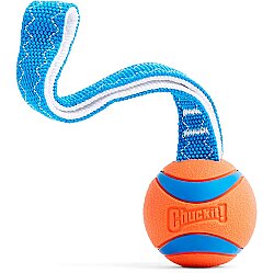 Chuckit Ultra Tug Köpek Çekiştirme Topu Medium - 2