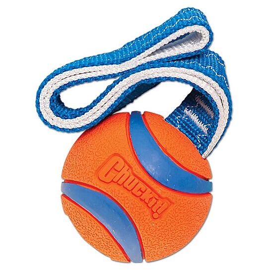 Chuckit Ultra Tug Köpek Çekiştirme Topu Small - 2