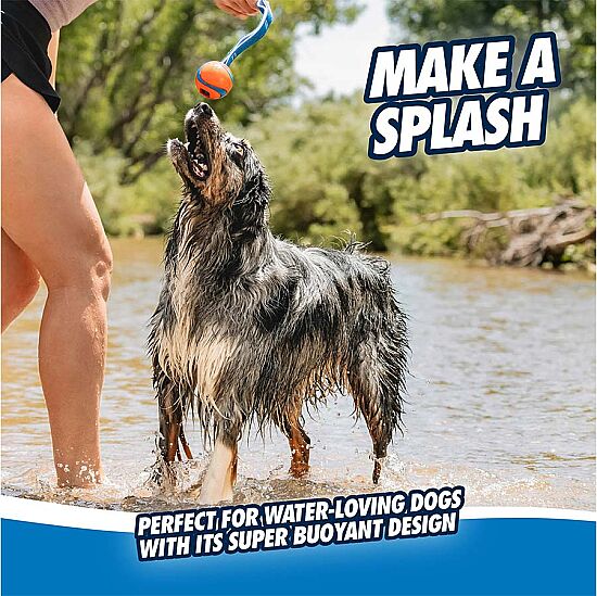 Chuckit Ultra Tug Köpek Çekiştirme Topu Small - 5