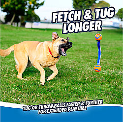 Chuckit Ultra Duo Tug 2'li Köpek Çekiştirme Topu Medium - 3