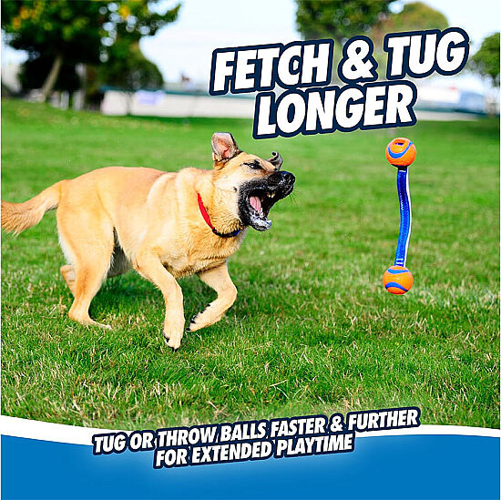 Chuckit Ultra Duo Tug 2'li Köpek Çekiştirme Topu Medium - 3