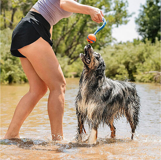Chuckit Ultra Duo Tug 2'li Köpek Çekiştirme Topu Medium - 4