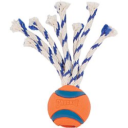 Chuckit Ultra Toss Püsküllü Köpek Oyun Topu (Orta Boy) - 2