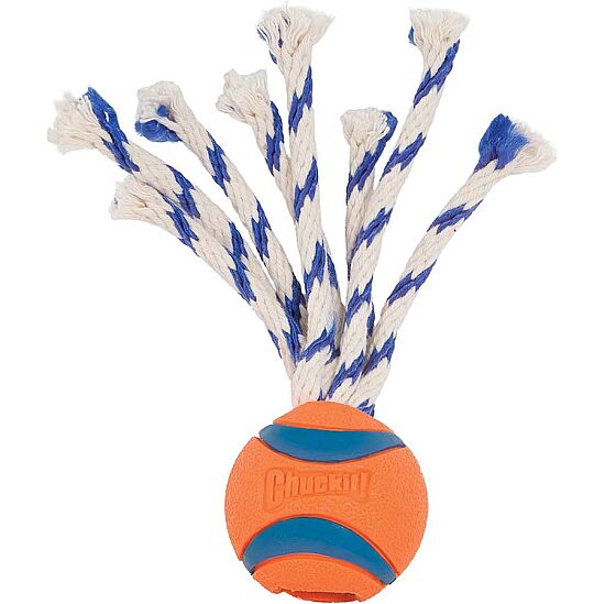 Chuckit Ultra Toss Püsküllü Köpek Oyun Topu (Orta Boy) - 2