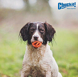 Chuckit Air Fetch Ball Köpek Oyun Topu (Orta Boy) - 5
