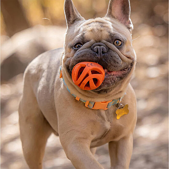 Chuckit Air Fetch Ball Köpek Oyun Topu (Orta Boy) - 6