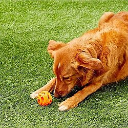 Chuckit Air Fetch Ball Köpek Oyun Topu (Orta Boy) - 7