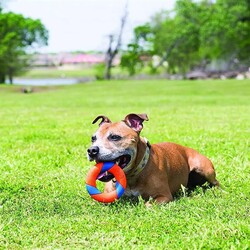 Chuckit Ultra Ring Köpek Oyun Halkası 13x13 Cm - Thumbnail