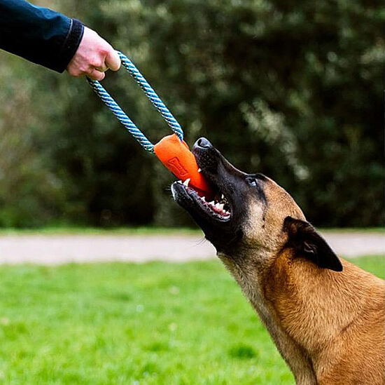 Chuckit Ultra Bumper Tug Köpek Çekiştirme Oyuncağı 18,5x5x5 Cm - 4