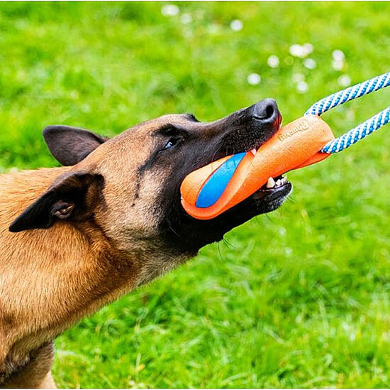 Chuckit Ultra Bumper Tug Köpek Çekiştirme Oyuncağı 18,5x5x5 Cm - 5
