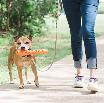 Chuckit Air Fetch Stick Köpek Oyuncağı (Küçük Boy)