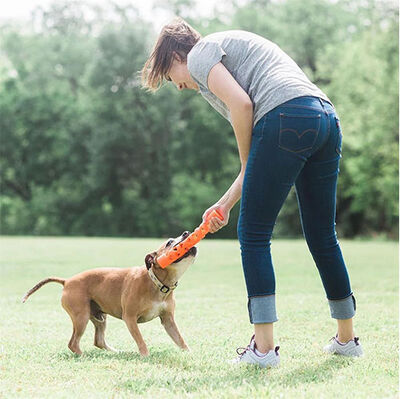 Chuckit Air Fetch Stick Köpek Oyuncağı (Küçük Boy)